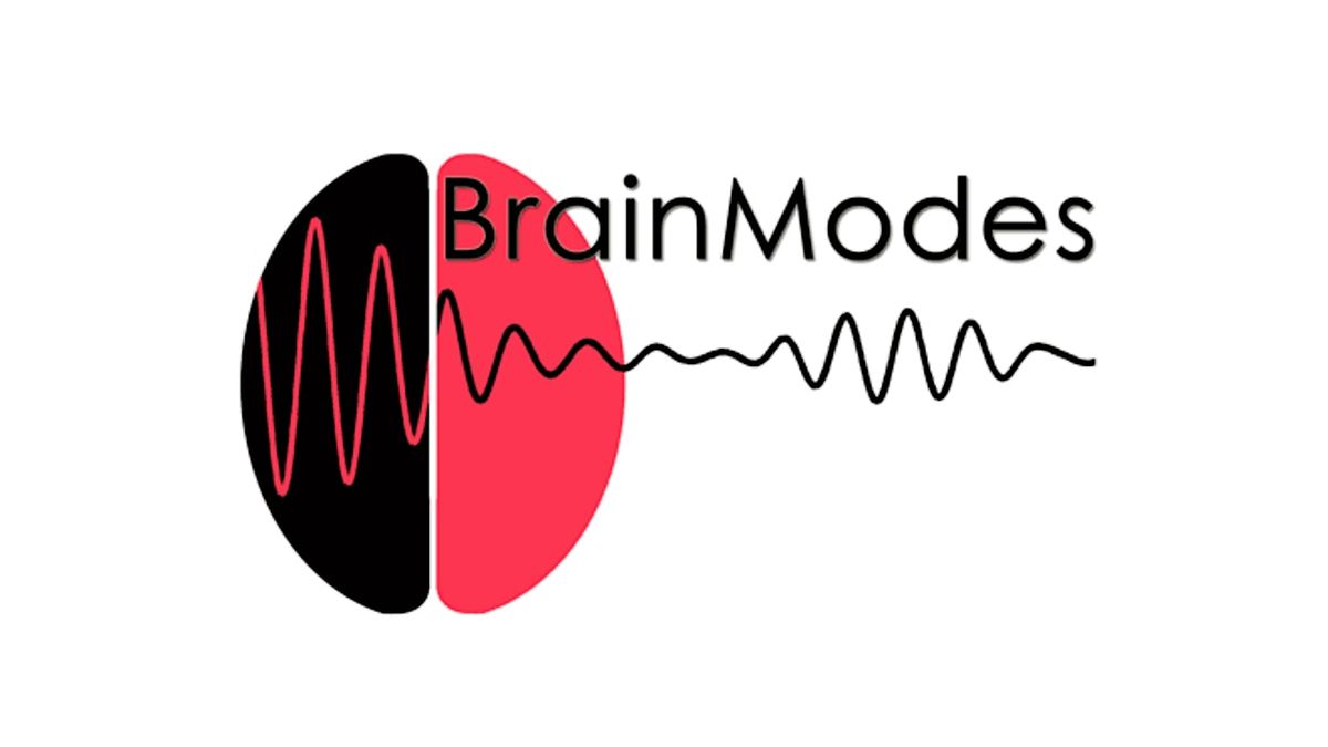 BrainModes2025