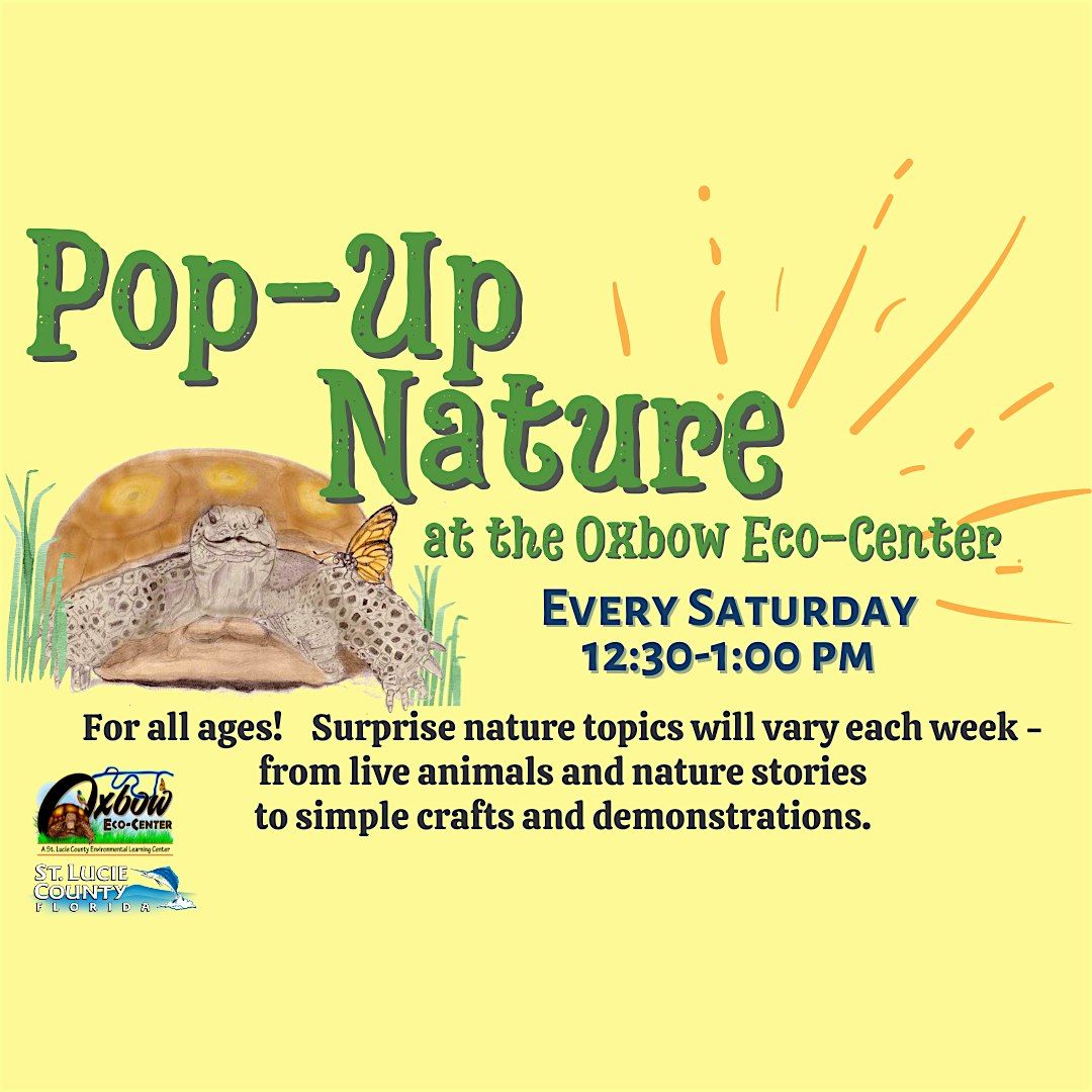 Pop-Up Nature at Oxbow Eco-Center