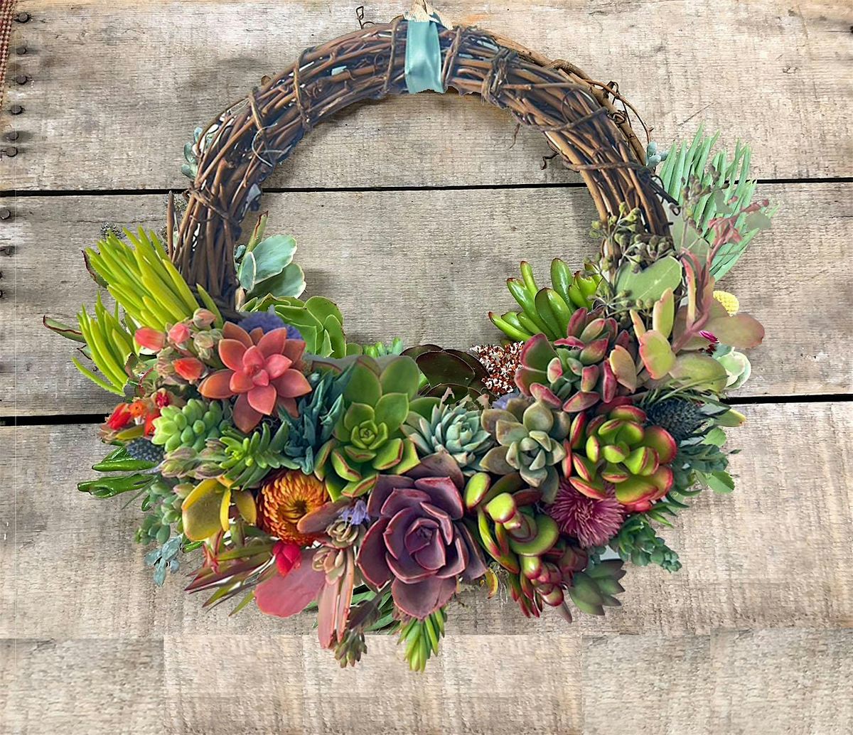Fall Succulent Wreath Class