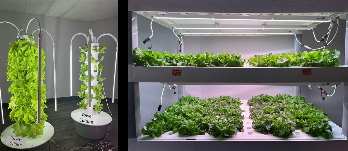 Hydroponic Crops Production  Course