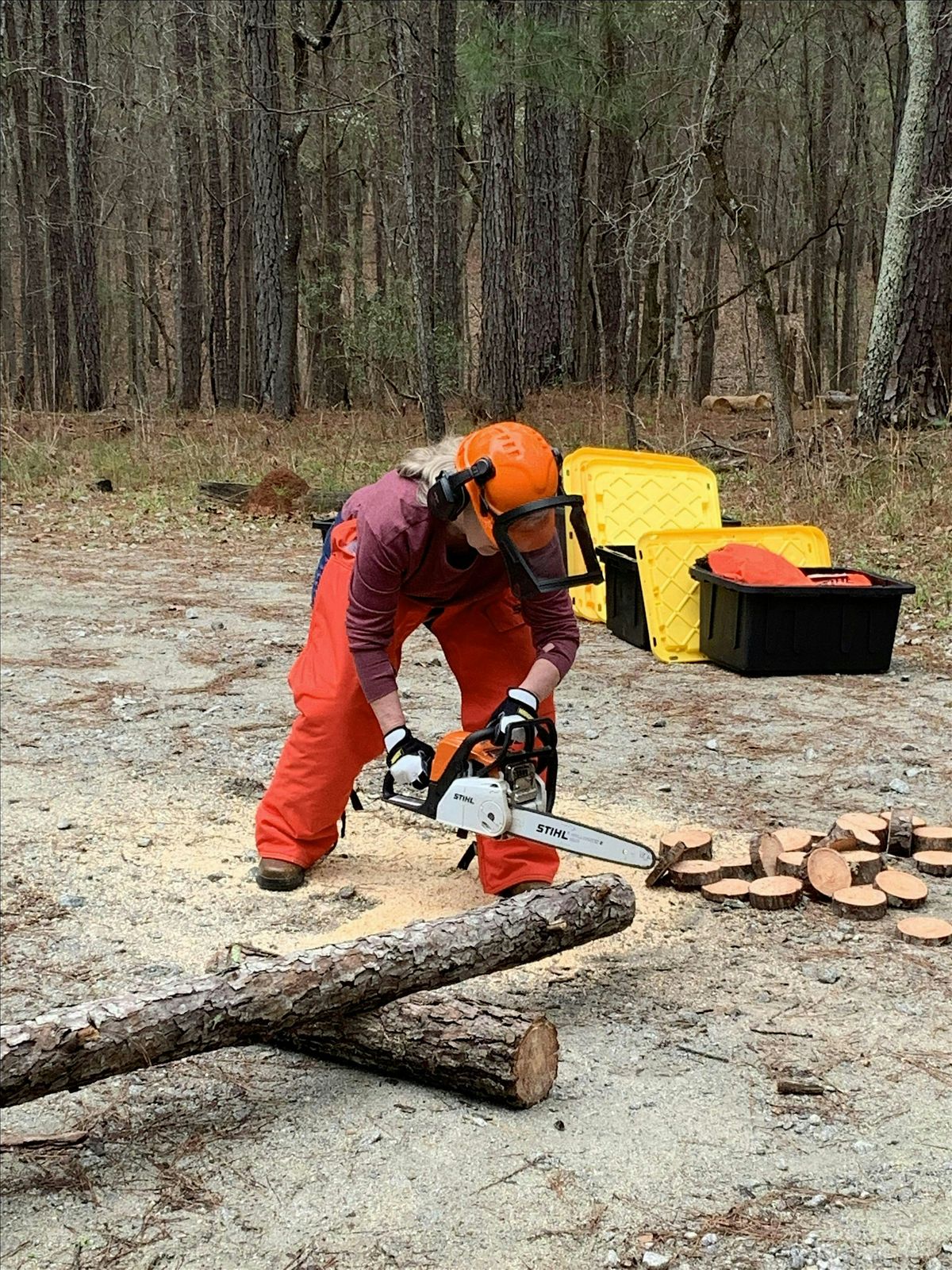 Chainsaw Safety and Handling Workshop