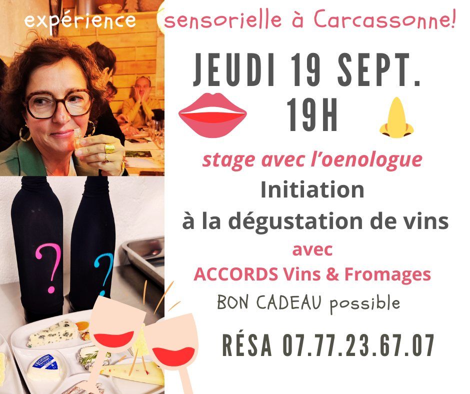 INITATION A LA DEGUSTATION VINS AVEC ACCORDS VINS & FROMAGES (3h)