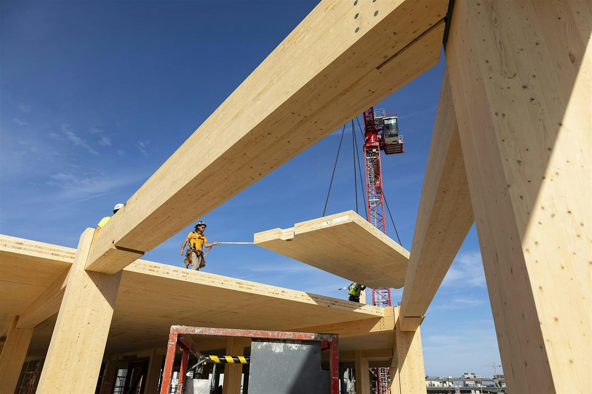Mass Timber Constructability and Costing