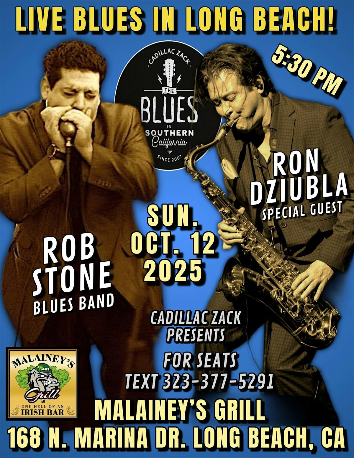 ROB STONE & RON DZIUBLA - Chicago Blues Greats - in LONG BEACH!
