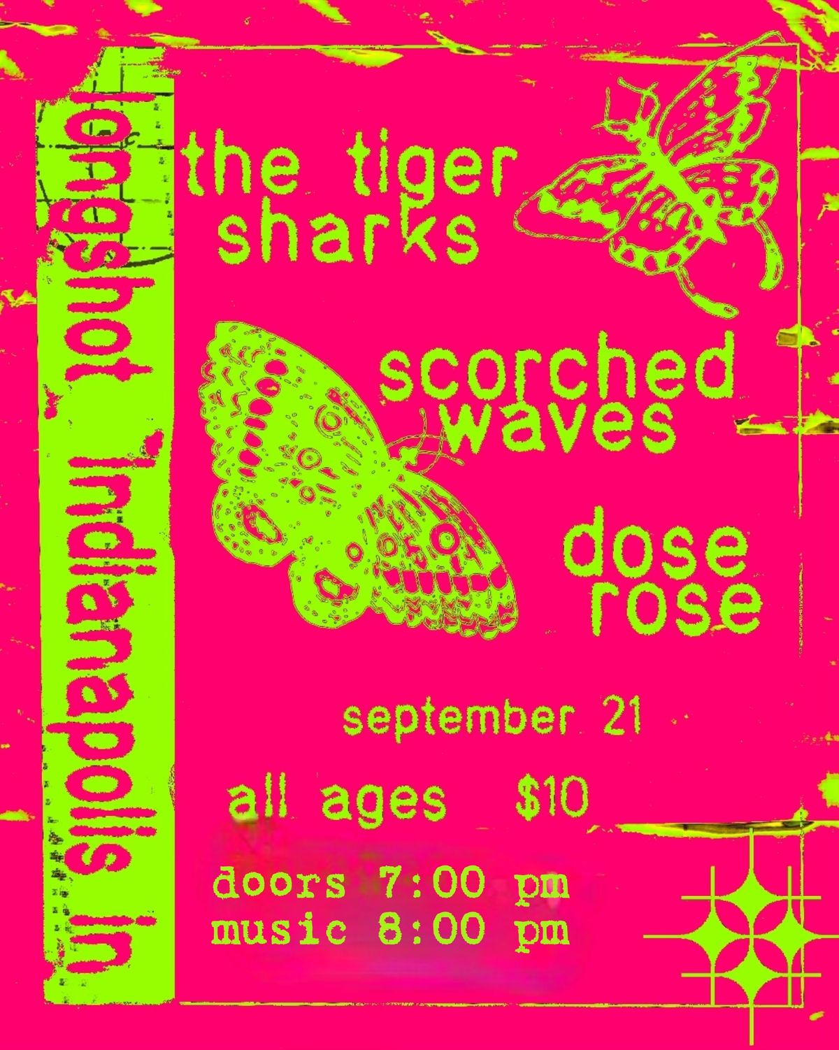 The Tiger Sharks, Scorched Waves, Dose Rose @ Longshot