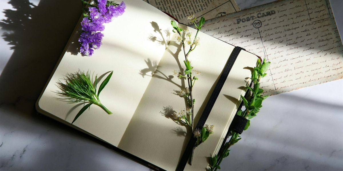 Starting A Nature Journal (18+)