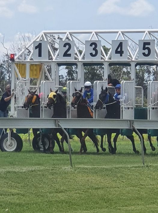 Yeppoon Races