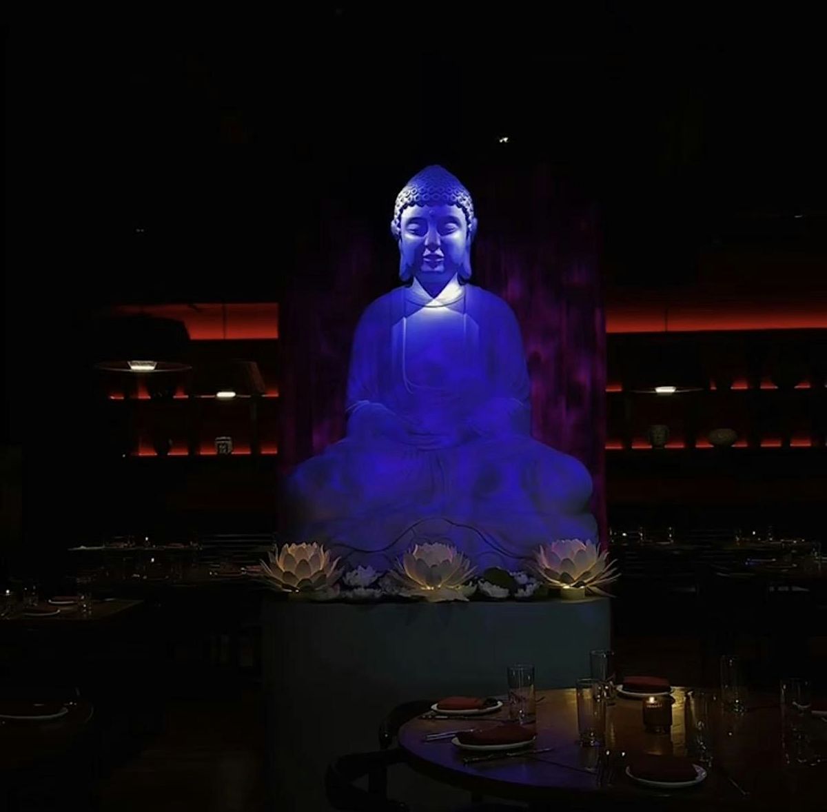 Saturday's Under the Buddha