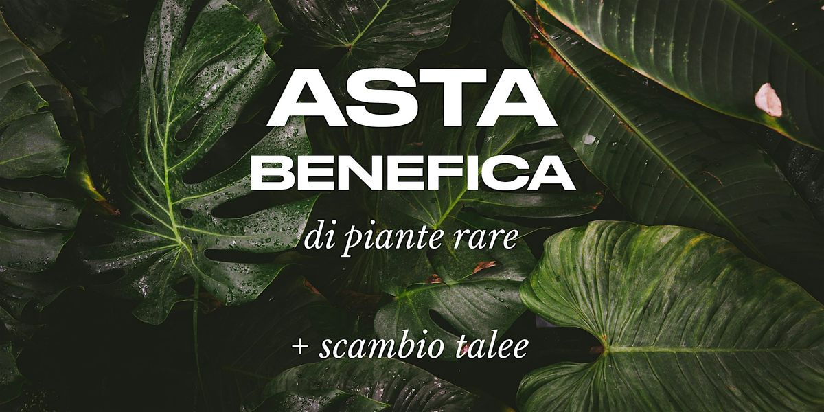 ASTA BENEFICA di piante rare + scambio talee