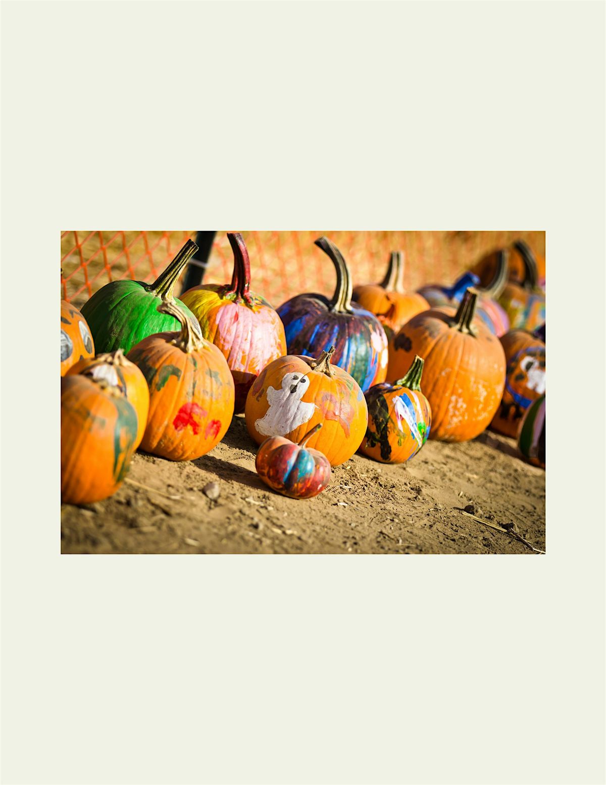 Pumpkins in the Park