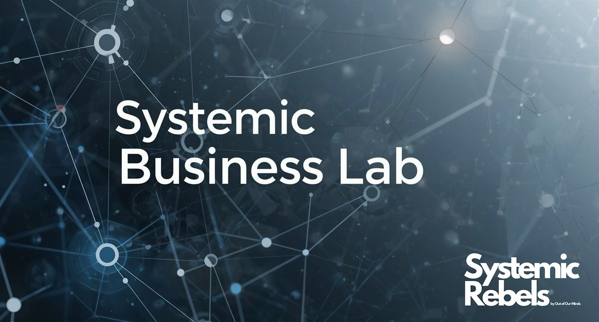 Systemic Business Lab