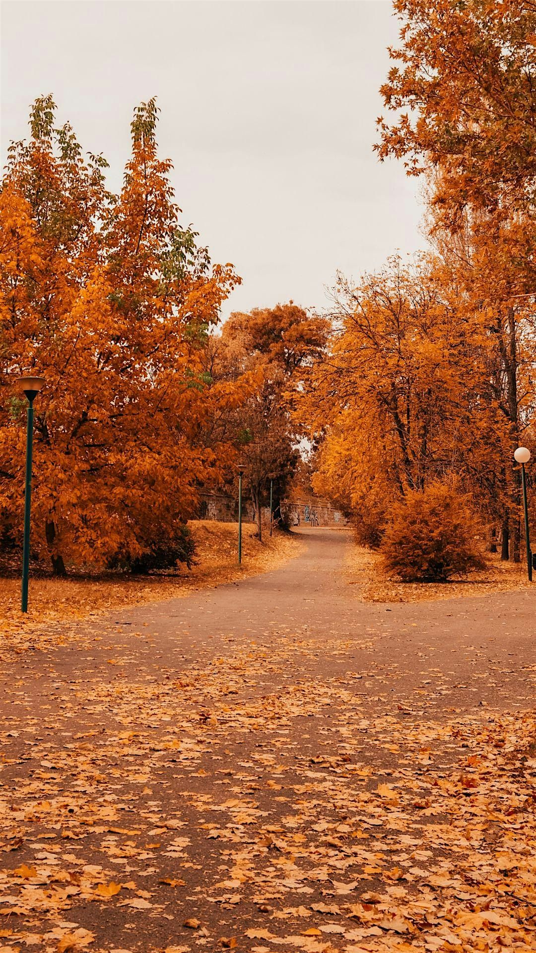 TIPLA FALL 2025 CLE SEMINAR