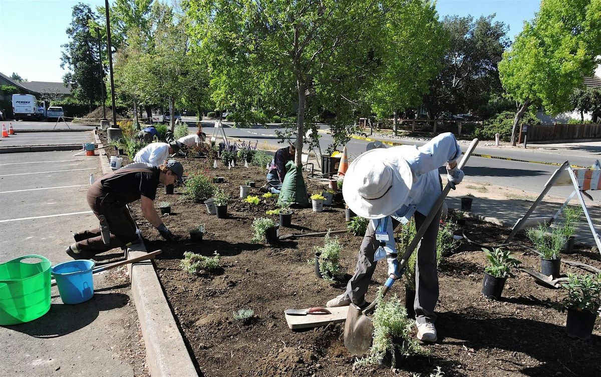 Las Flores Learning Garden's Annual Fall Clean-Up