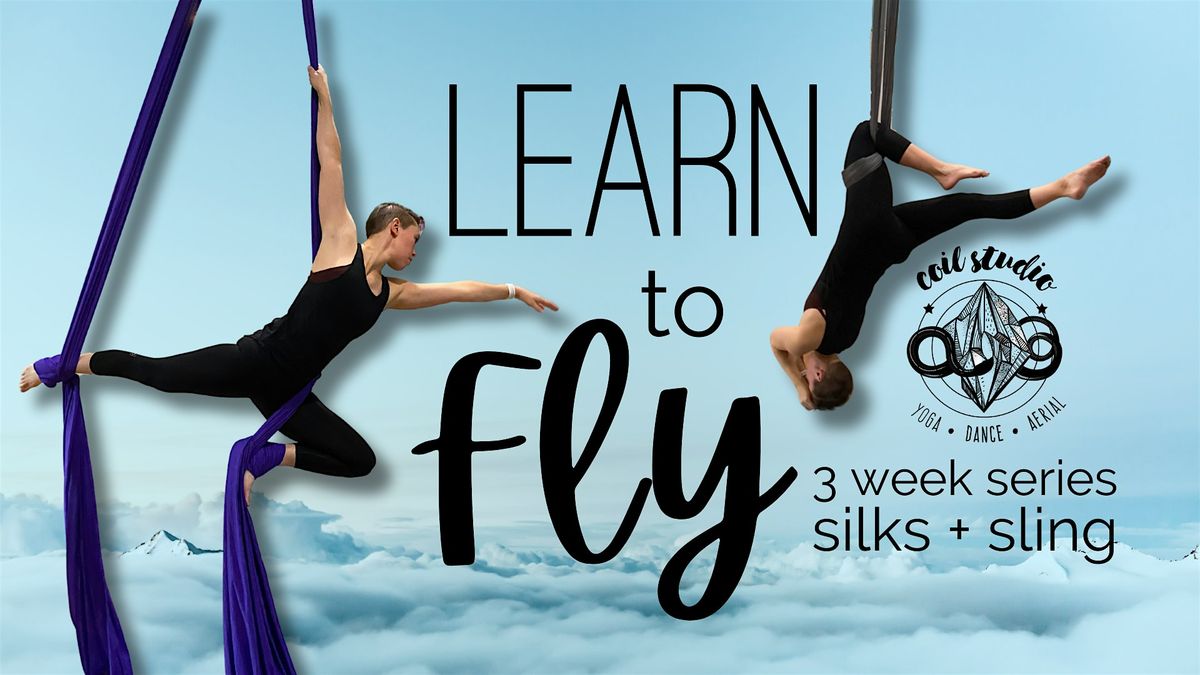 Learn to Fly: Intro to Aerial Arts