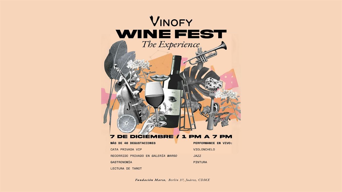 VINOFY WINE FEST - The Experience