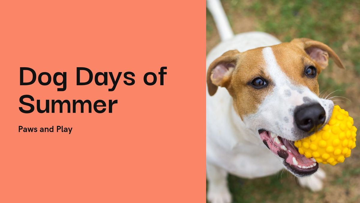 Dog Days Of Summer @ Modern K9 Solutions