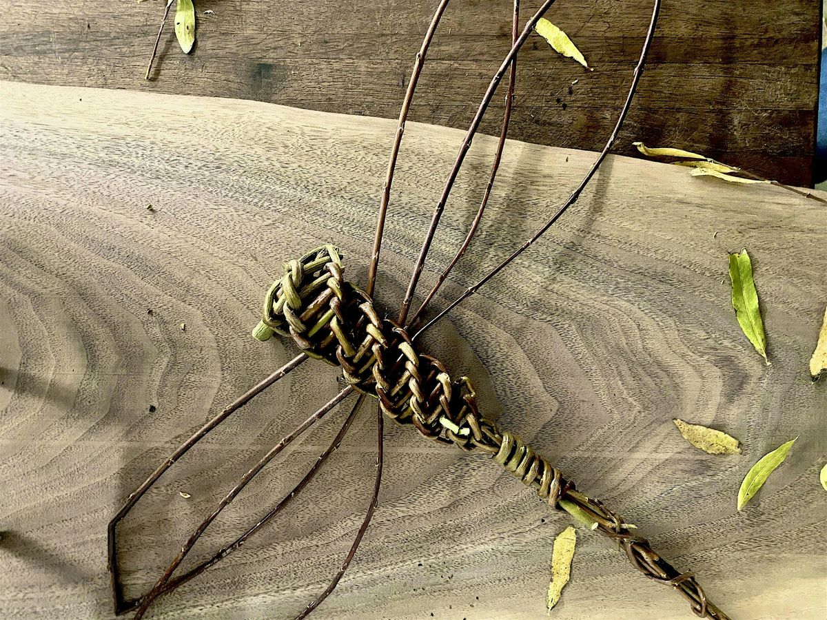 Craft a Willow Dragonfly