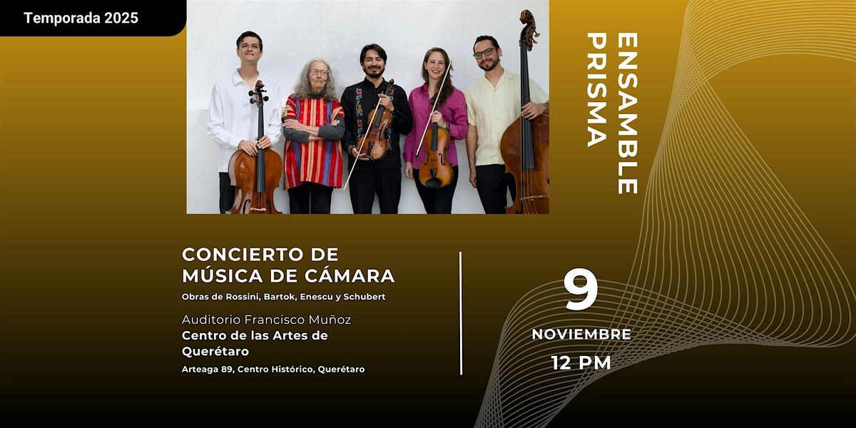 Concierto de m\u00fasica de c\u00e1mara