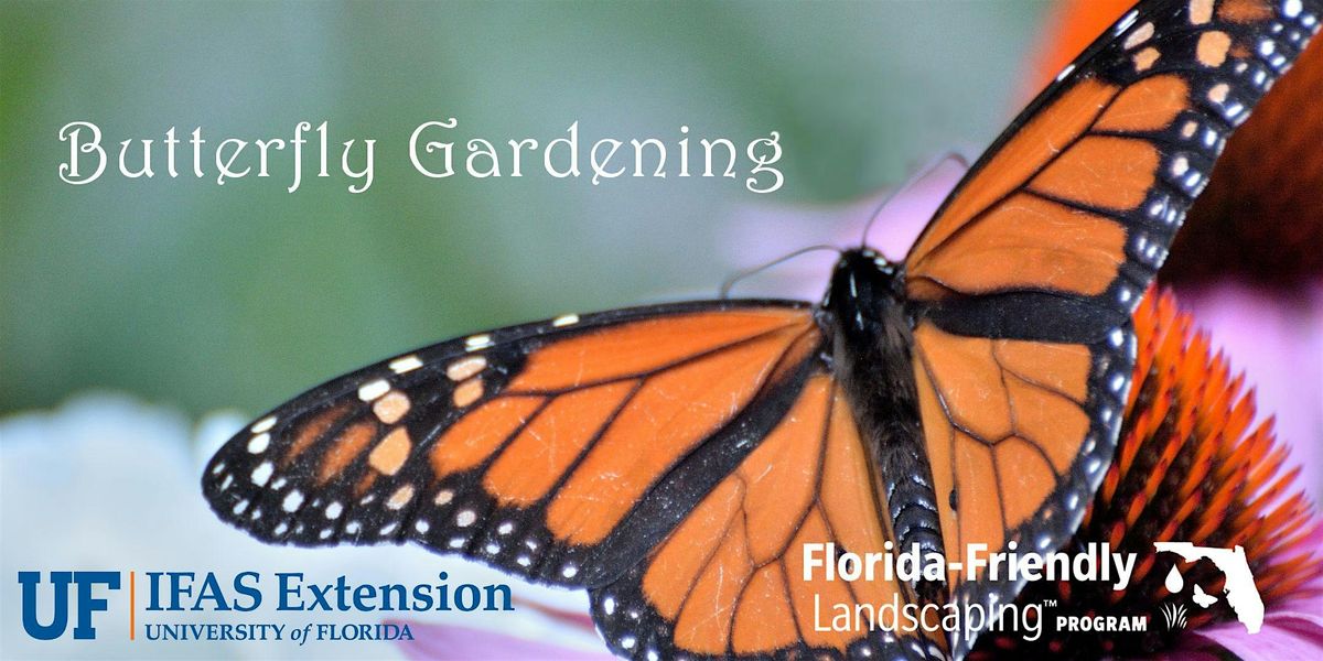 Butterfly Gardening