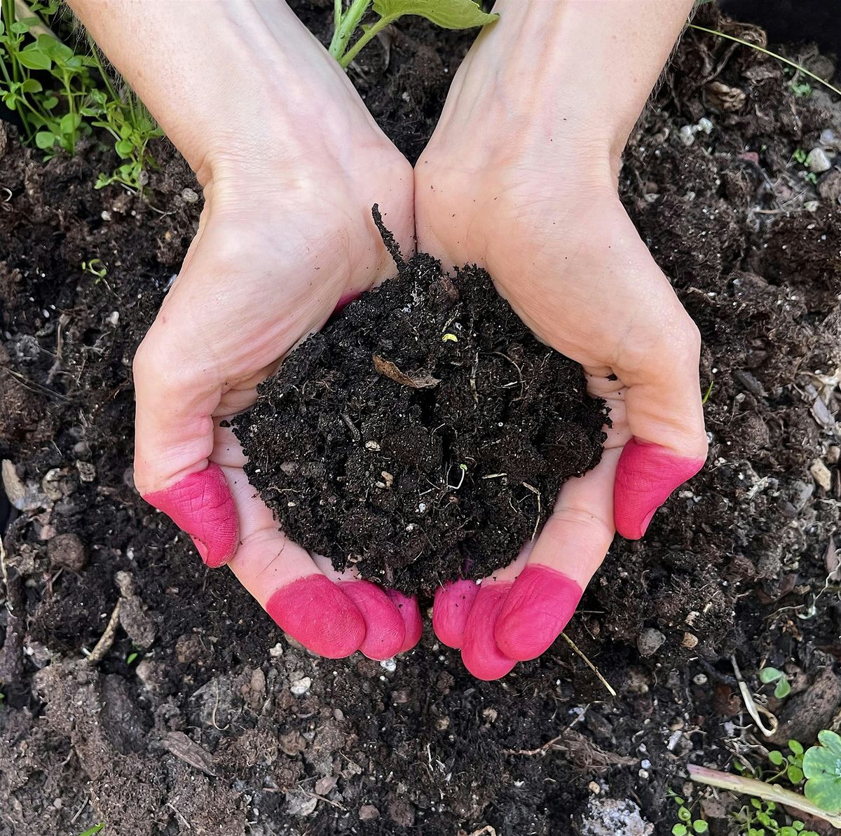 Coltivare bellezza | laboratorio di gesto poetico
