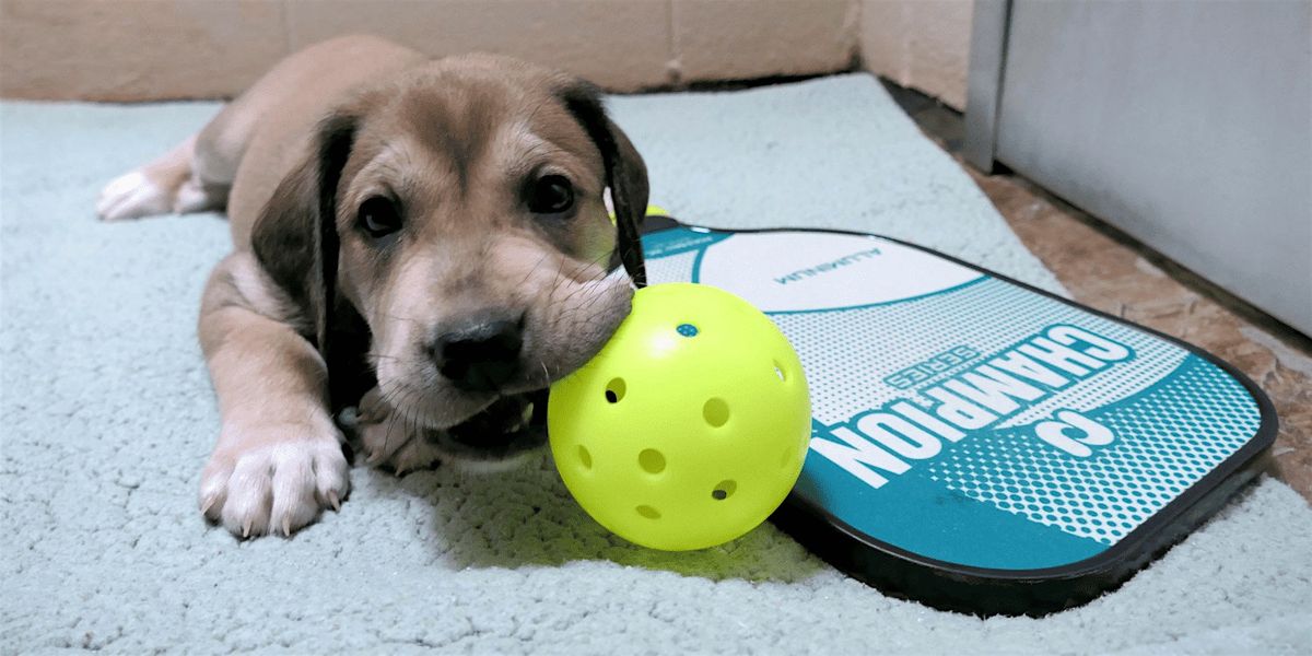 Pickle for Pups Pickleball Spring Edition