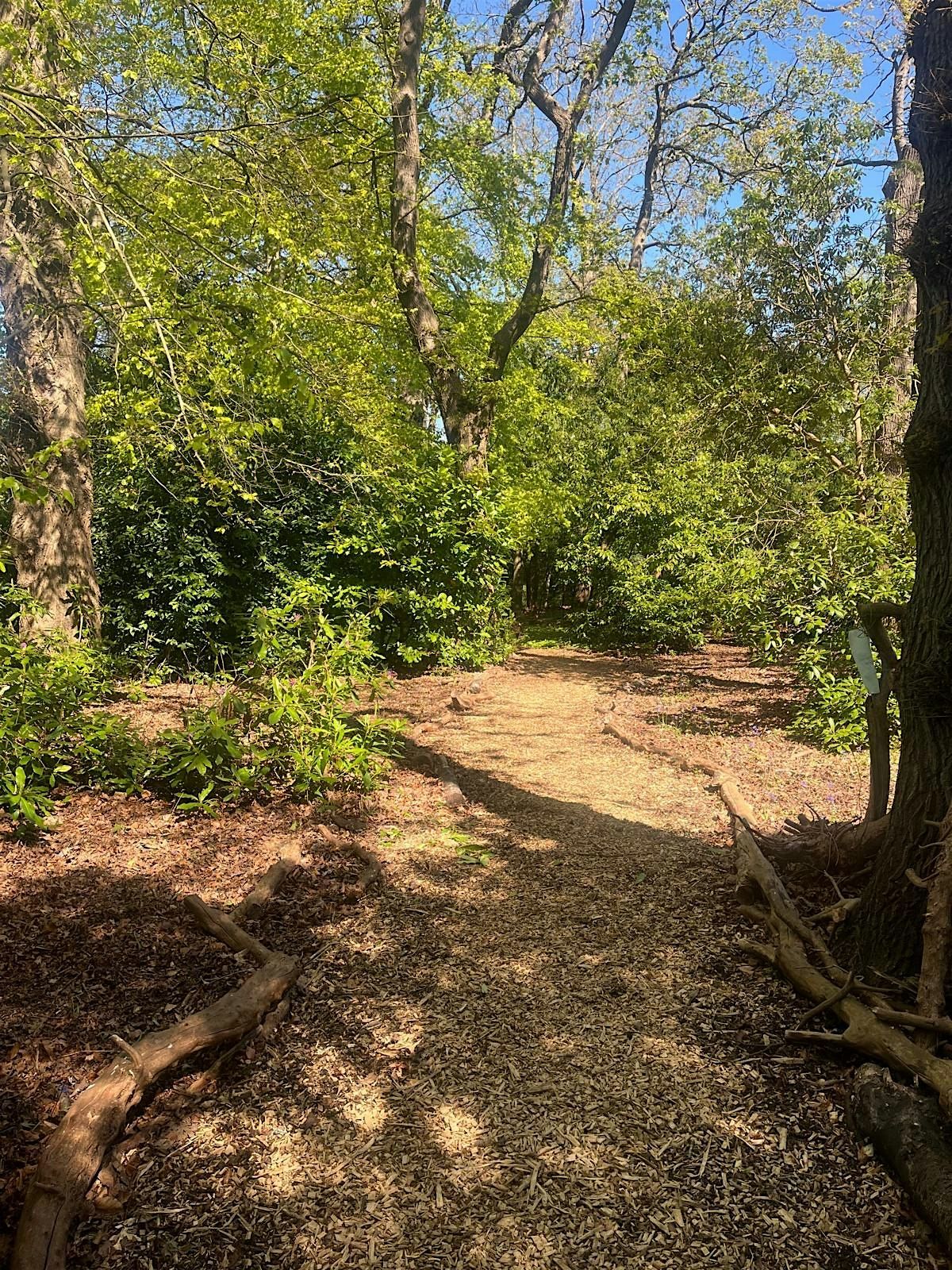Wilderness Soundbaths