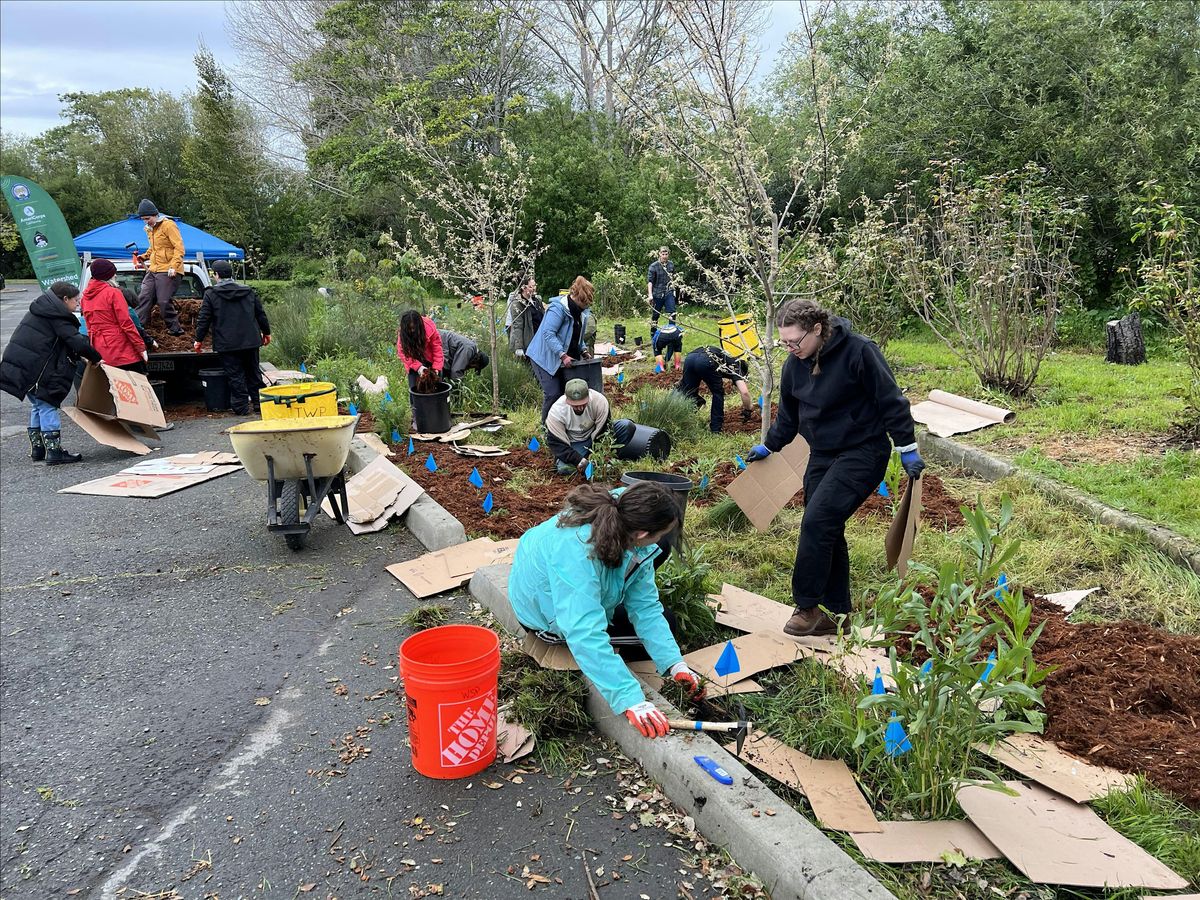 Love your Bioswale Day at BTA