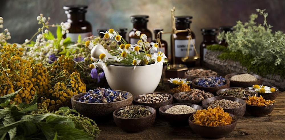 Healing from Within: Harnessing Ancient Wisdom for a Healthier Gut and Body