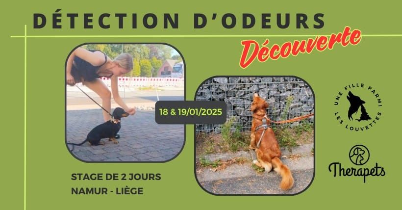 COMPLET Stage d\u00e9tection d'odeurs - D\u00e9couverte