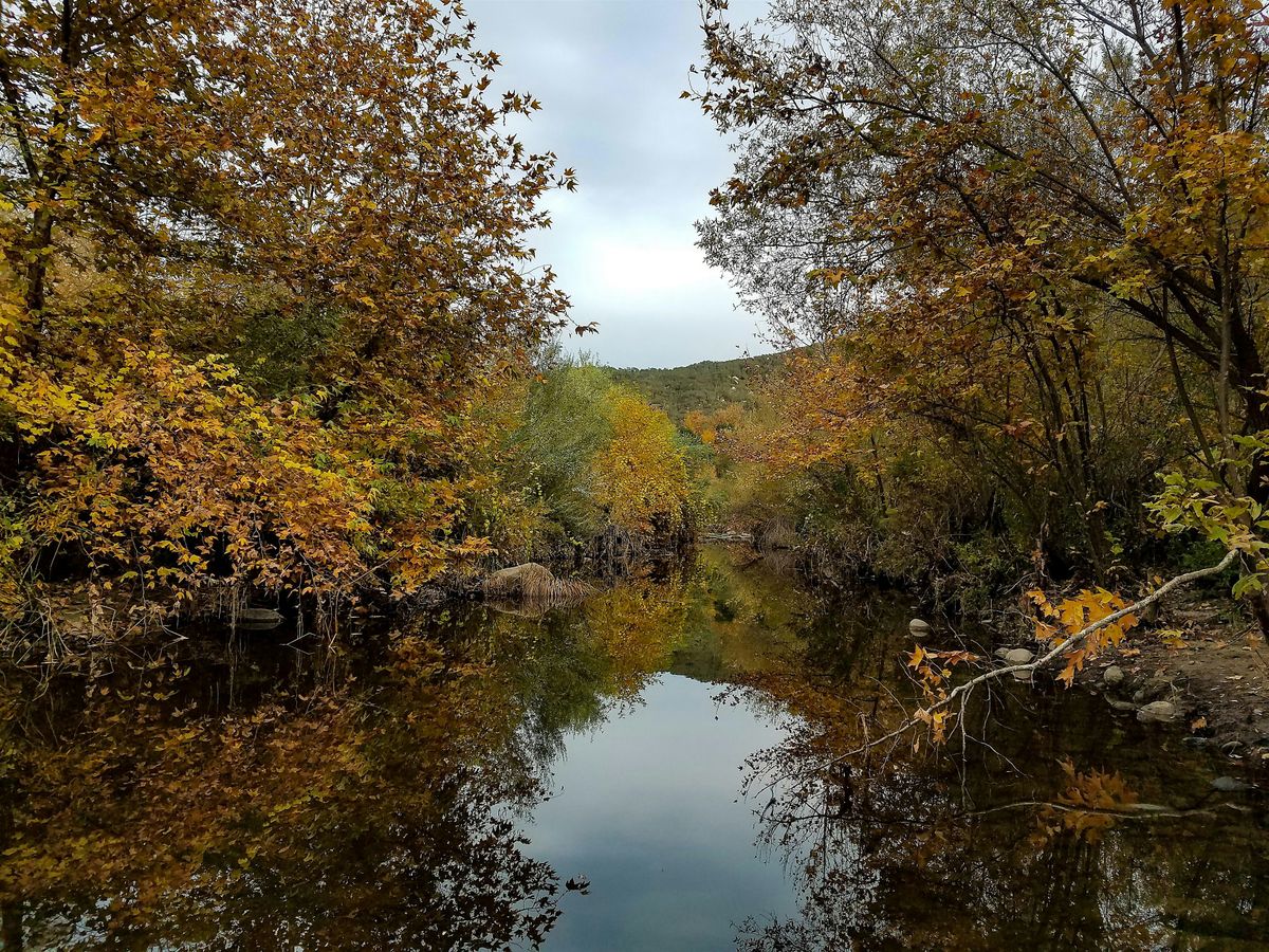 Fall Colors Guided Hike at the Santa Margarita River Trail Preserve