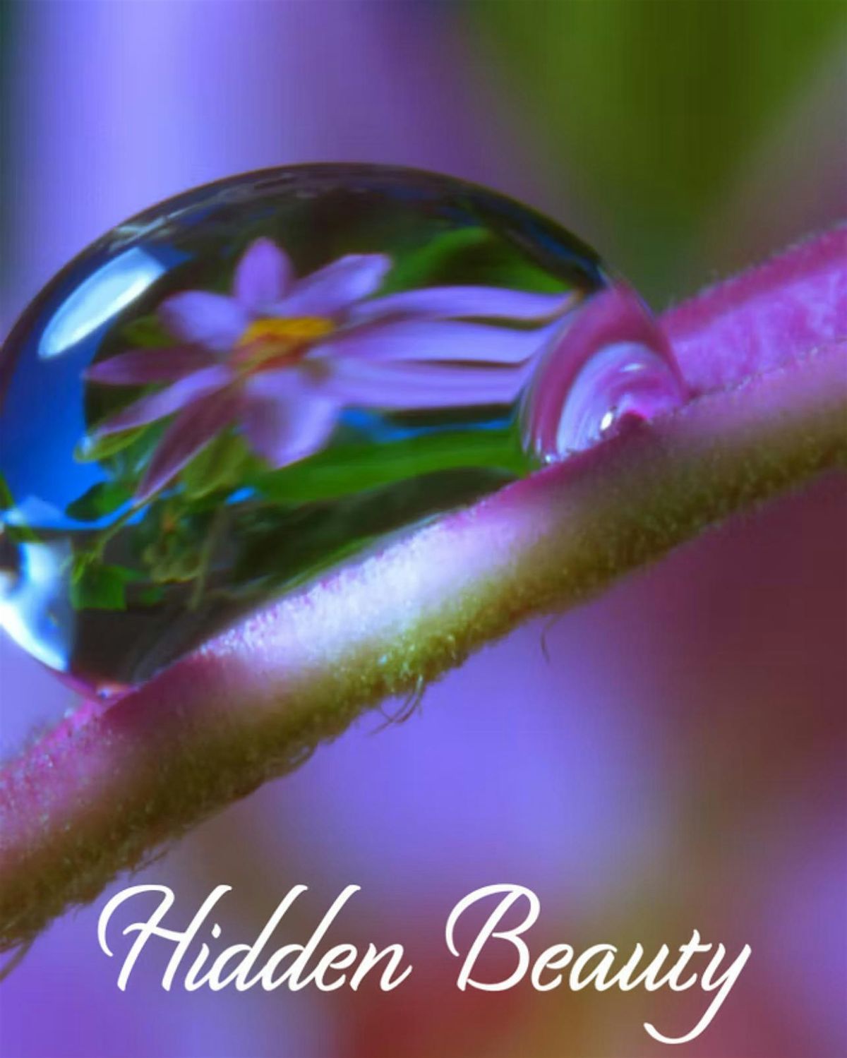 Hidden Beauty
