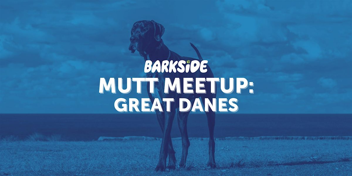 Mutt Meetup: Great Danes