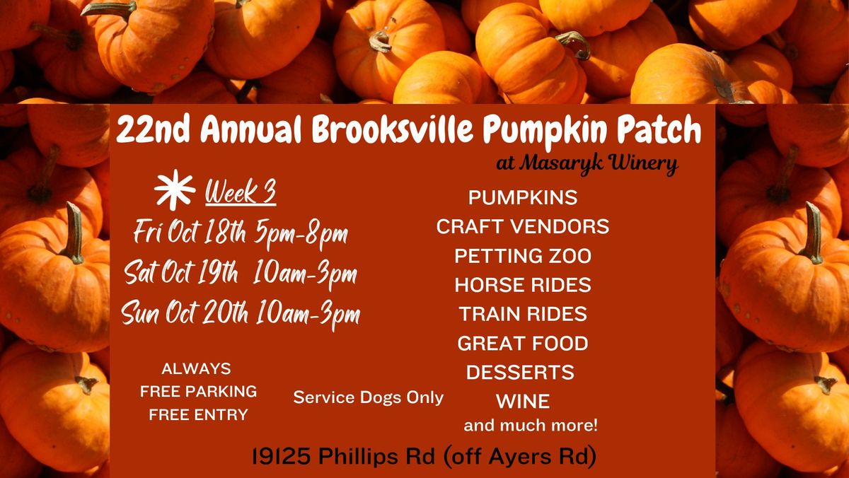 Week 3 - 22nd Annual Brooksville Pumpkin Patch