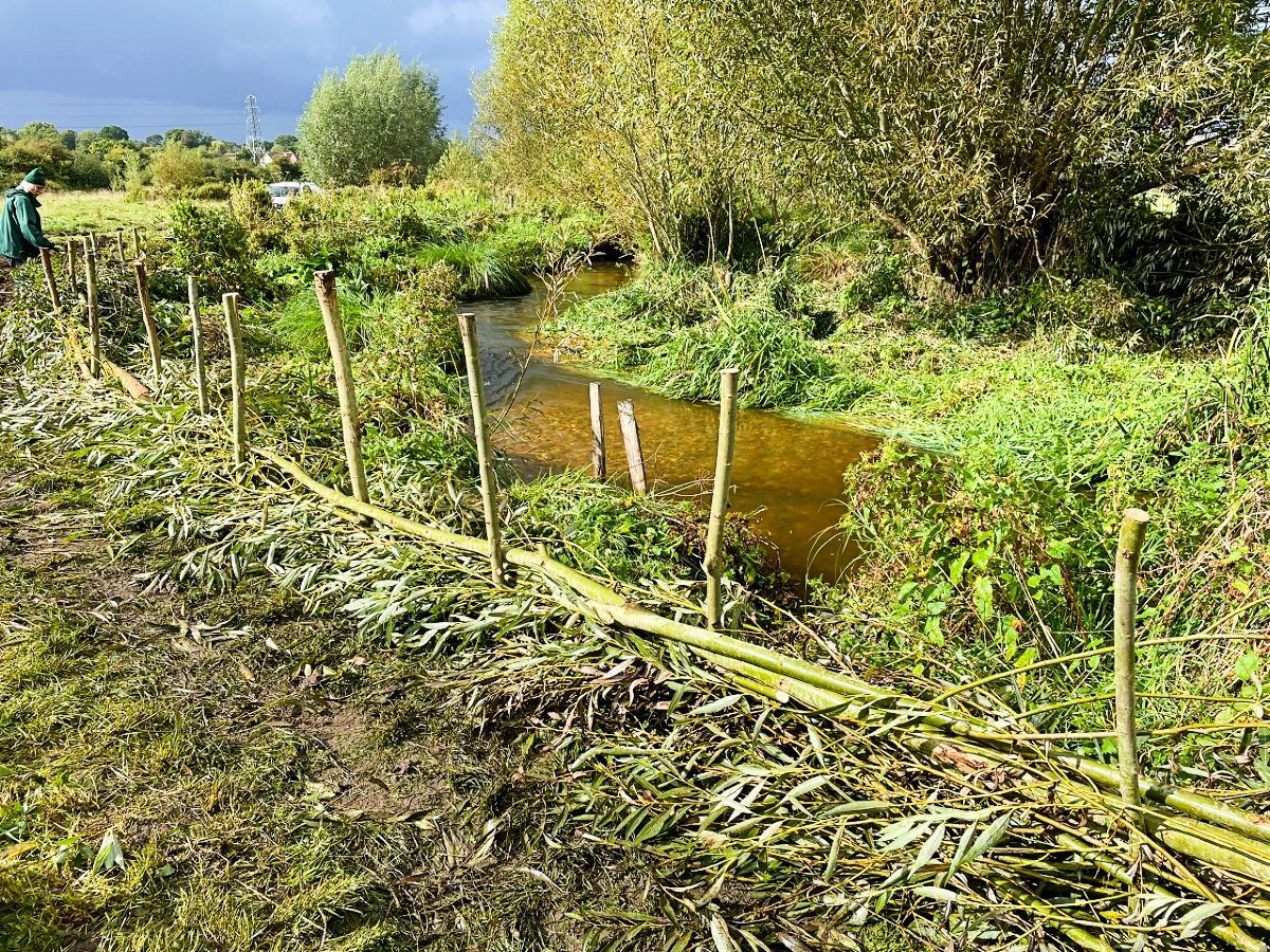 Habitat Creation - Hogsmill River