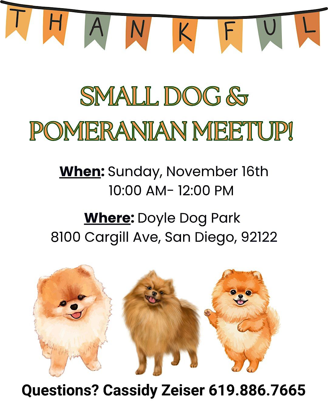 Small Dog and Pomeranian Meetup