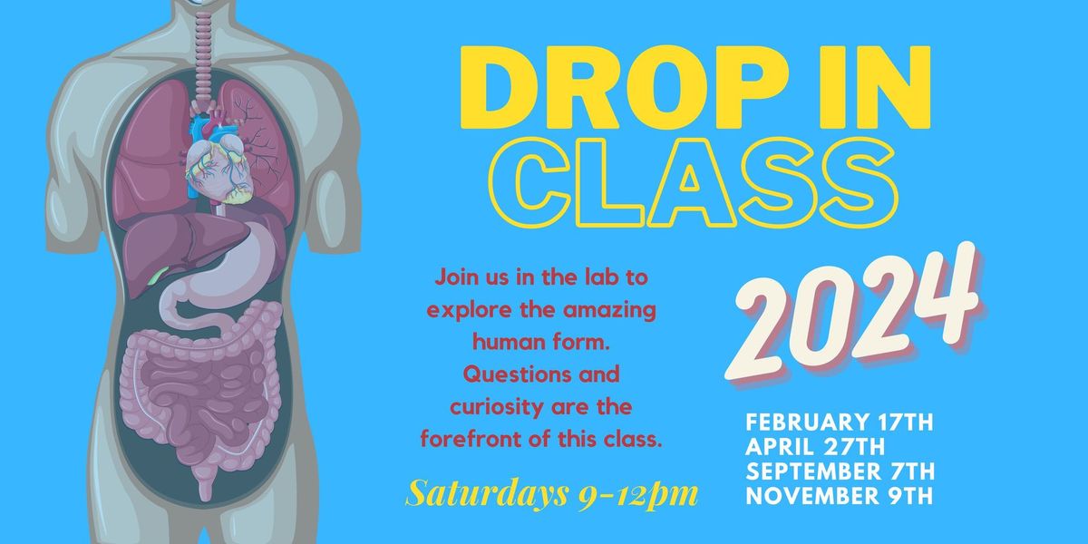 DROP IN CLASS - 2024