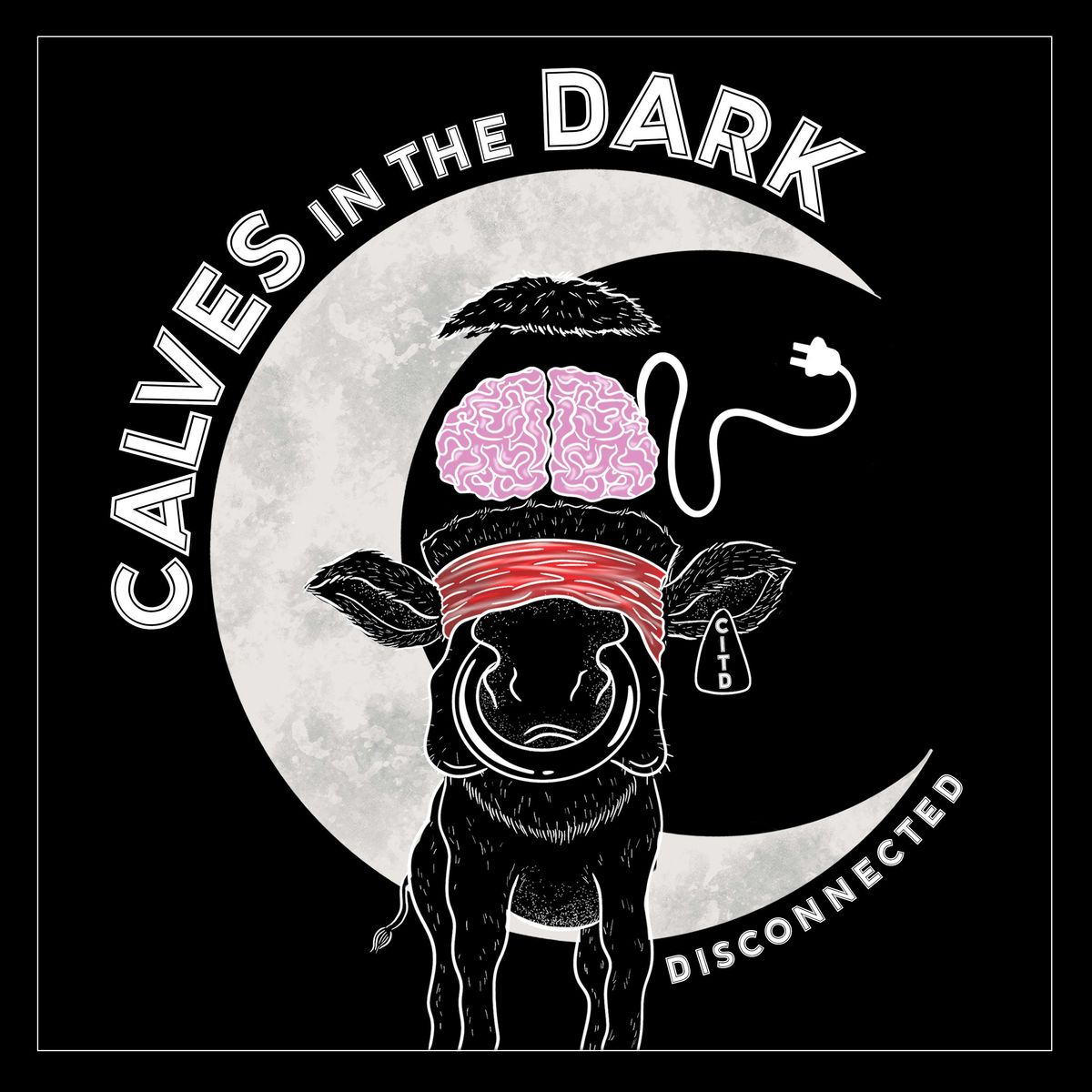 Calves In The Dark with support from Shattered Cogs plus more.