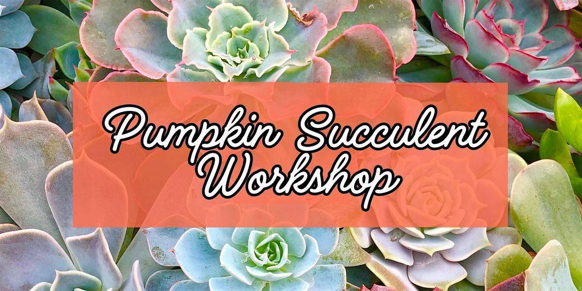 Pumpkin Succulent Workshop
