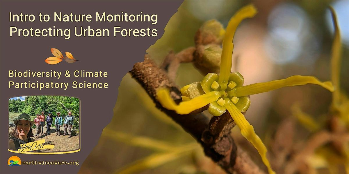 Introduction to Nature Monitoring \u2013 Protecting Urban Forests