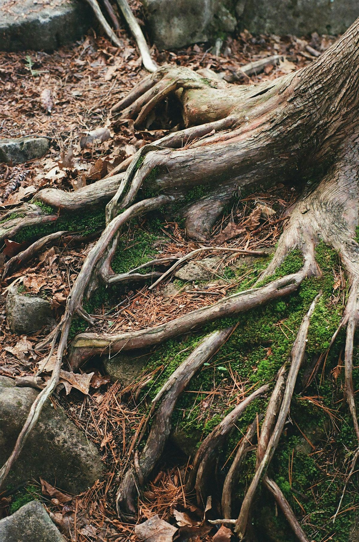 Terrain and Text 003