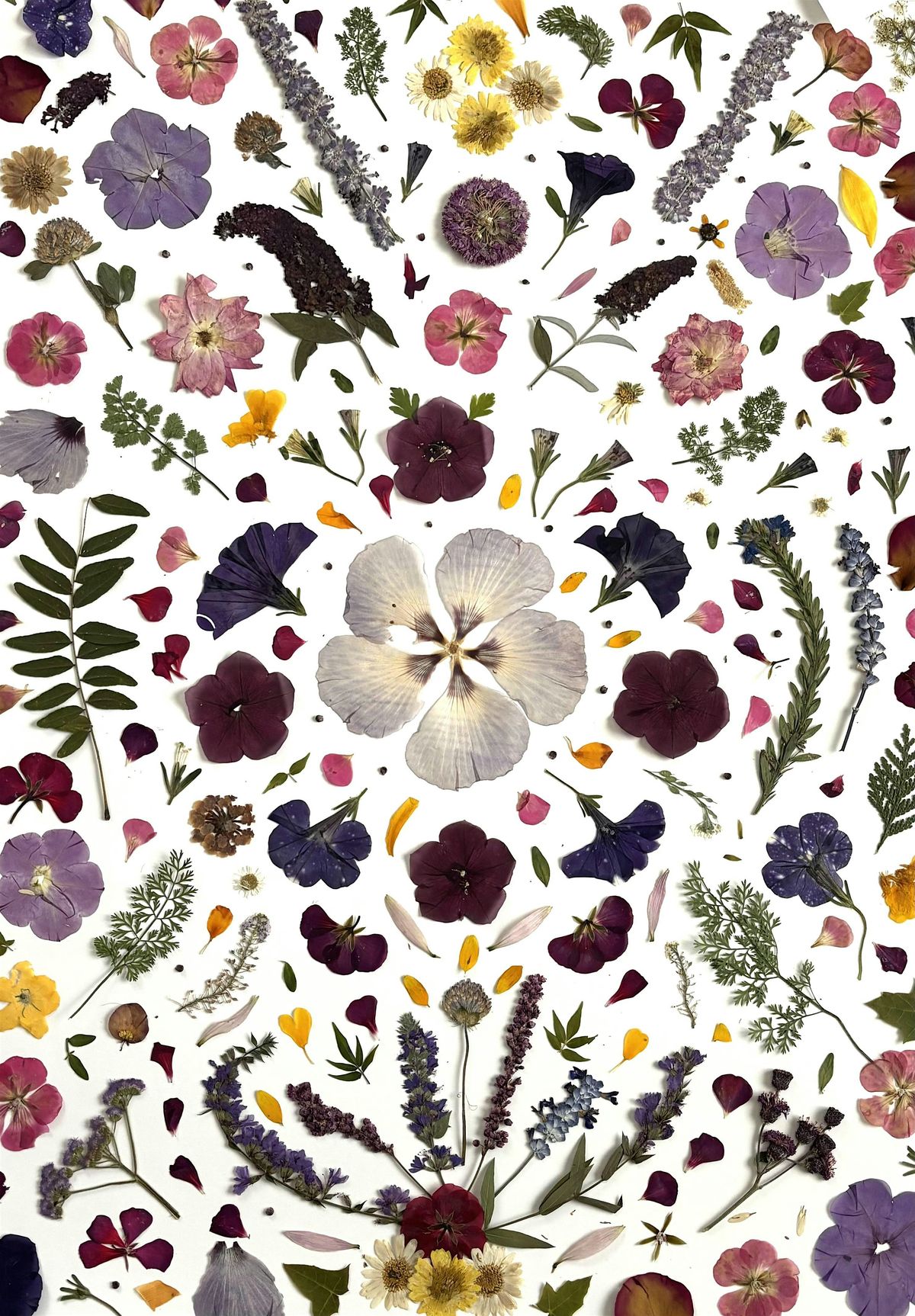 Pressed Flower Art Workshop with Gabrielle Rush