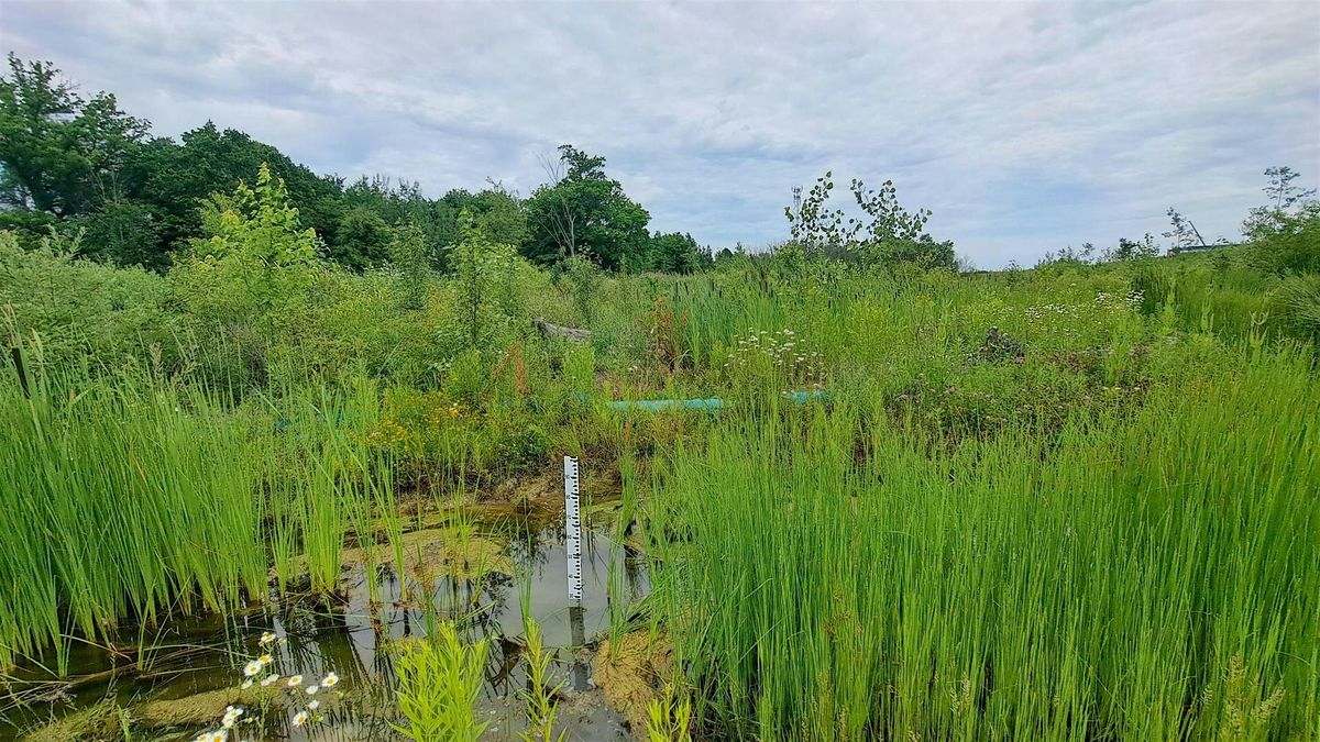 Collaborations in Urban Riparian Restoration & Site Monitoring