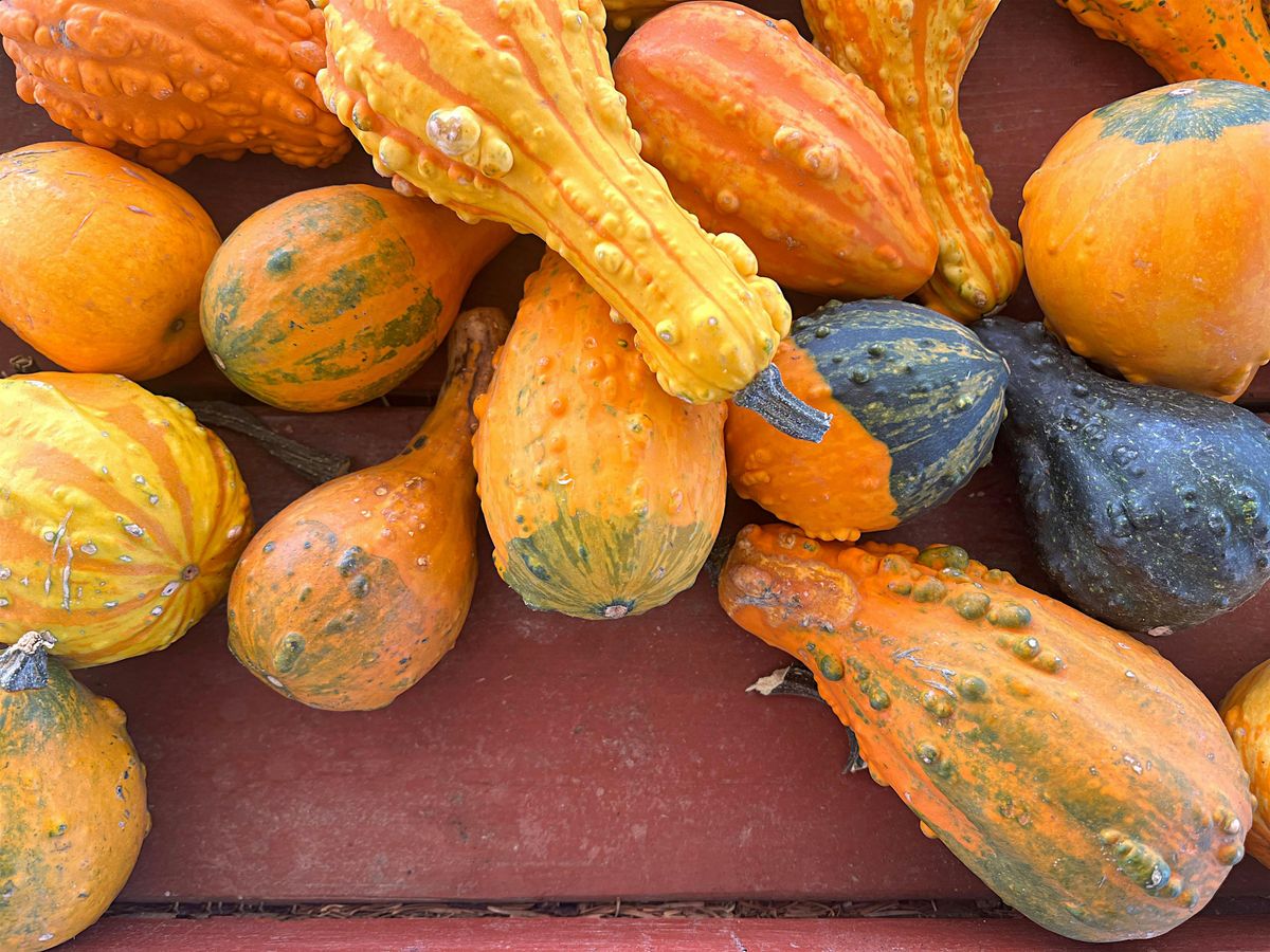 McLean Baptist Church - Ladies' Dinner Out - November 2025