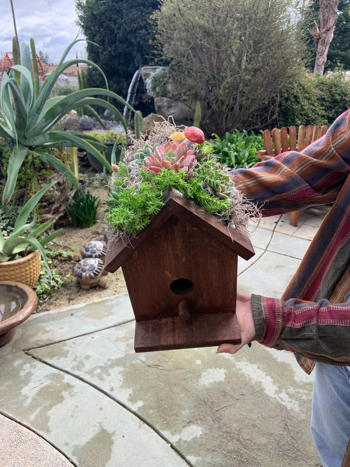 Succulent Birdhouse Workshop