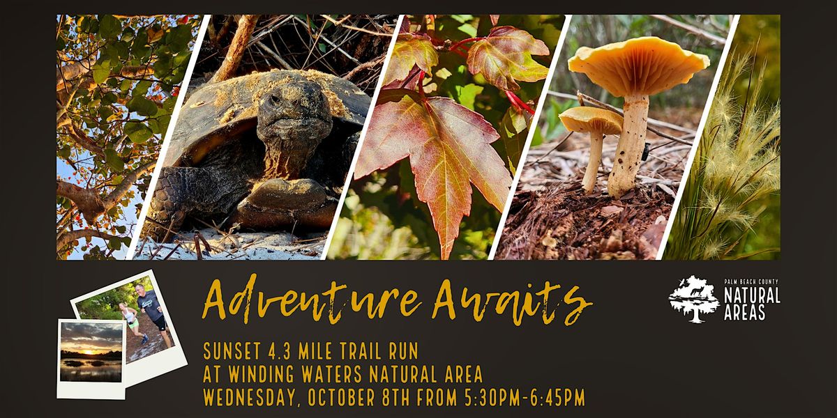 Adventure Awaits Running Wild -  4.3 Mile Trail Run @ Winding Waters