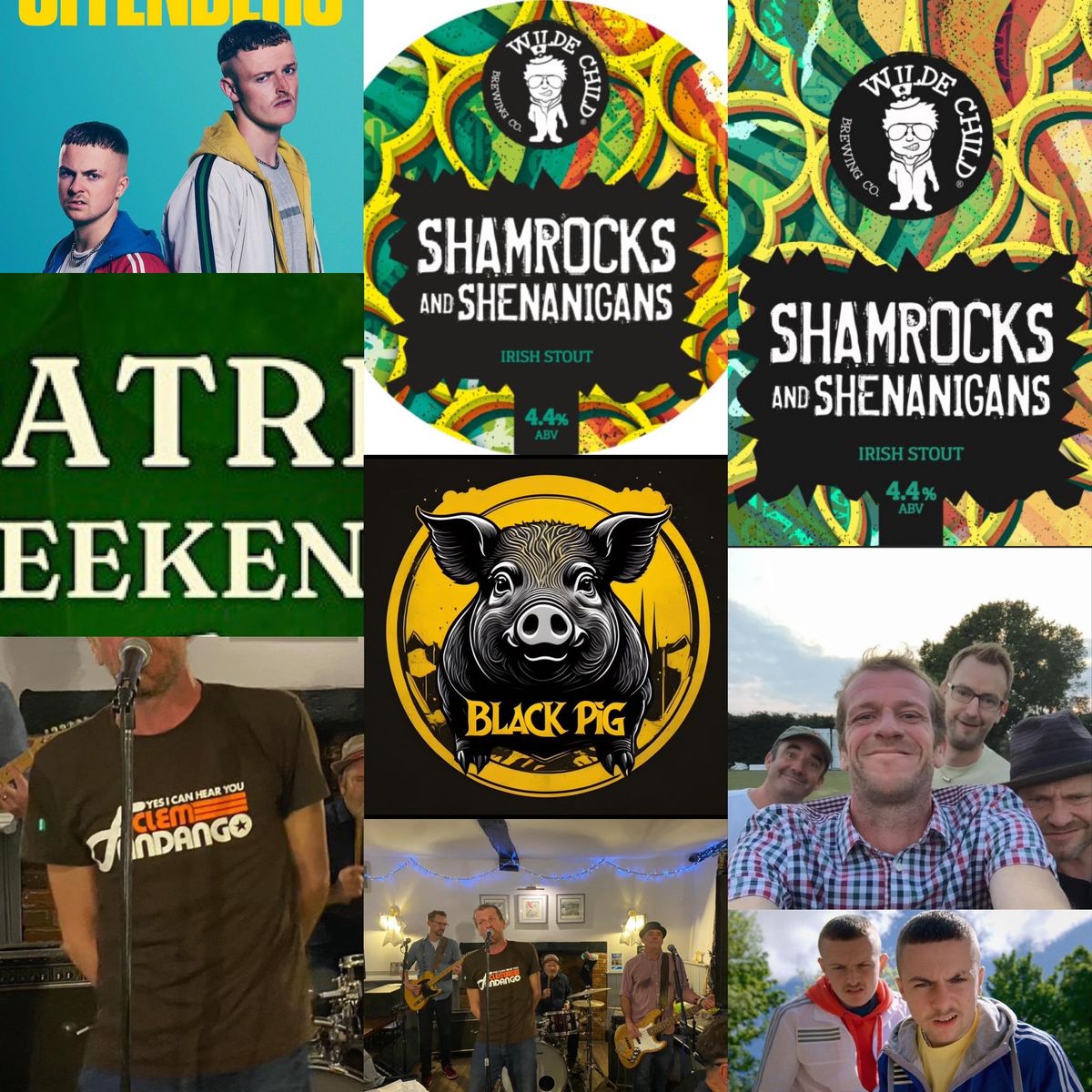 THE YOUNG OFFENDERS SHAMROCKS AND SHENANIGANS WITH THE BLACK PIG BAND 