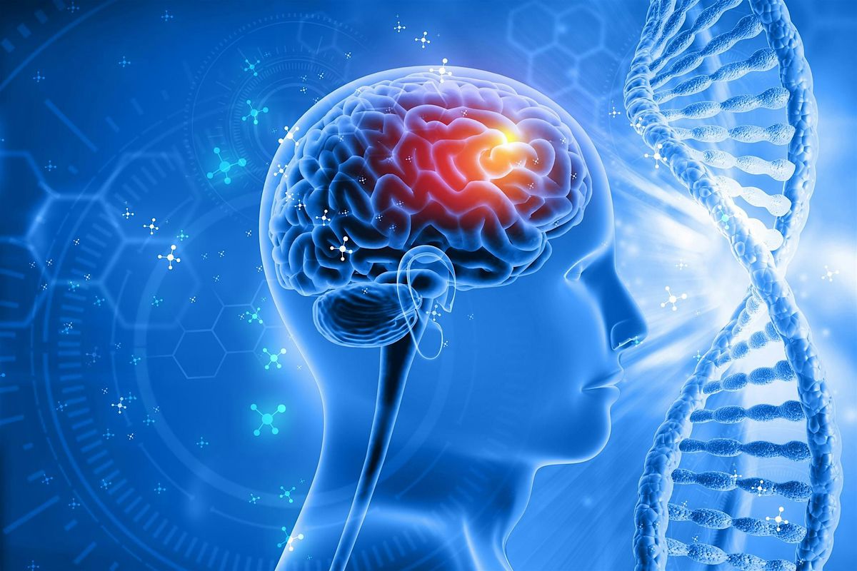 Intra -Brain Harmonizing Meditation with Ray