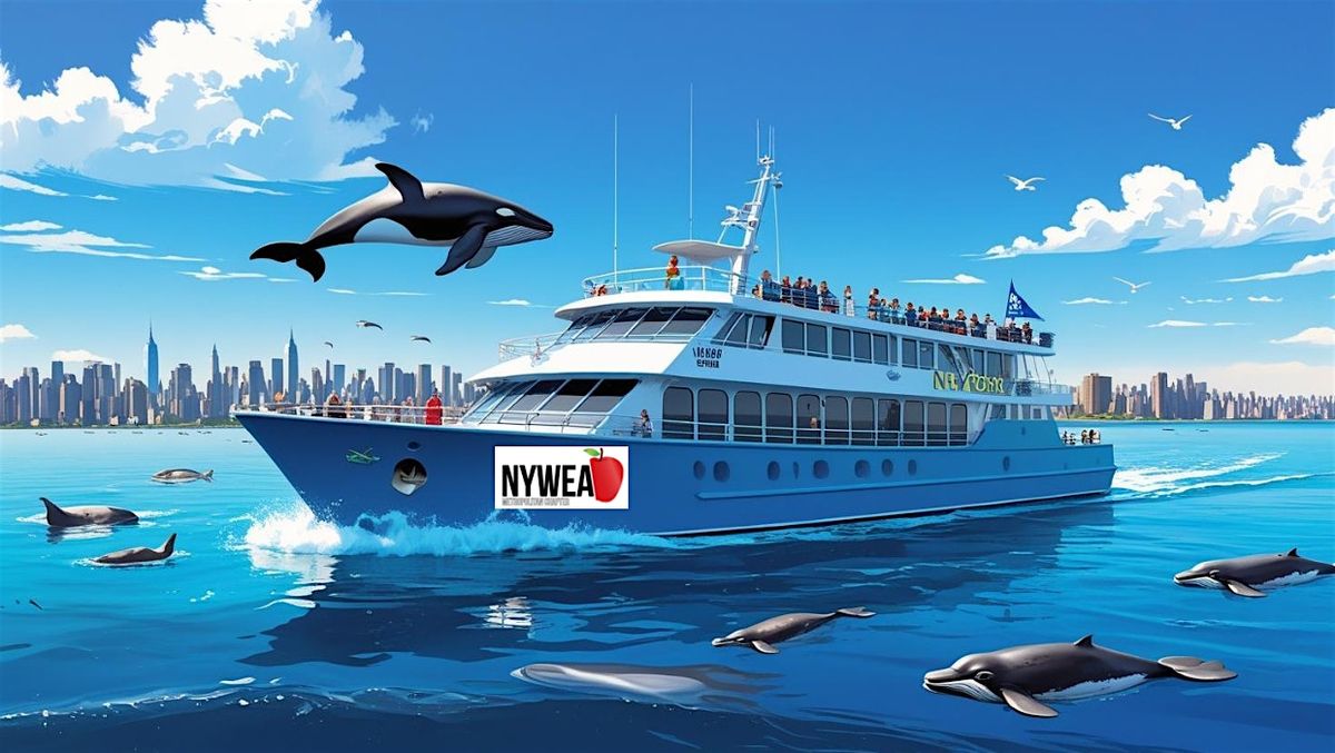 Whale, Dolphin & Seal Watching Adventure Cruise