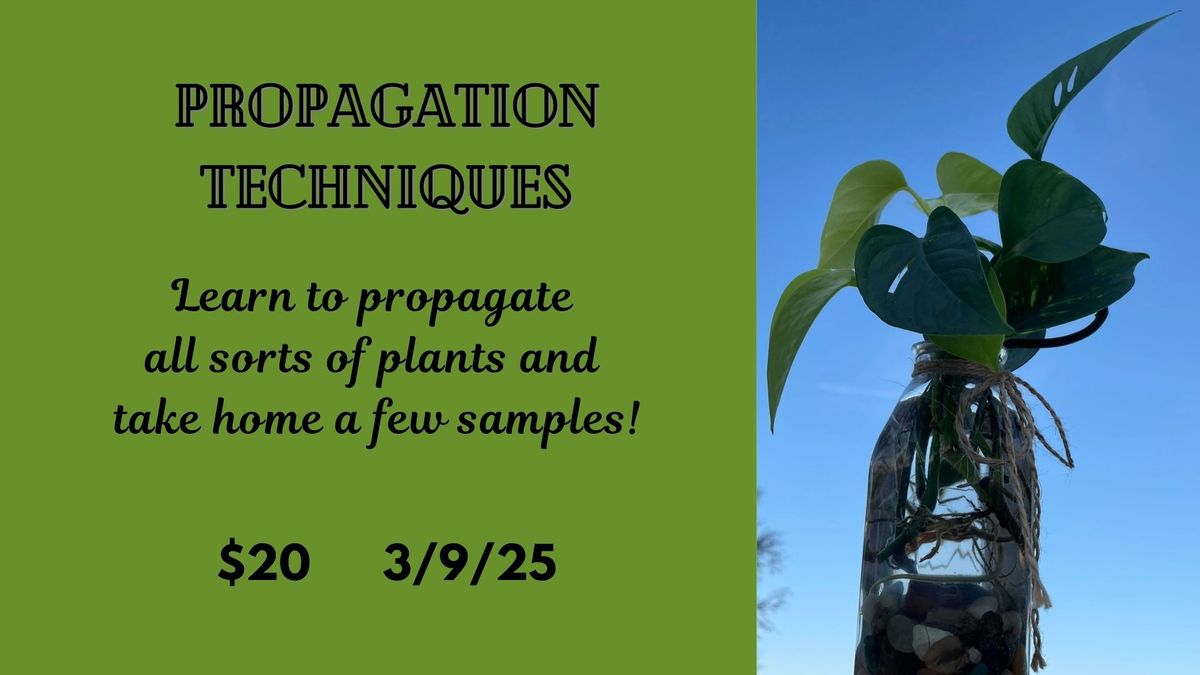 Propagation Workshop