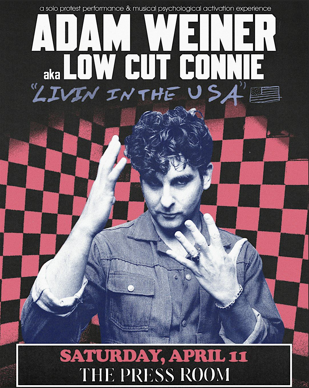 Adam Weiner aka LOW CUT CONNIE  (solo)
